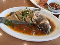 -洲晓鱻舟山海鲜(2号店)
