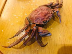 螃蟹-东方红海鲜百汇(国际大厦店)