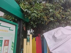 -八卦楼风琴博物馆
