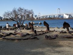 -台场海滨公园船码头