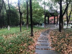 -孝子祠公园
