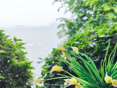 -胡里山炮台