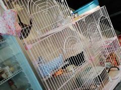 大厅-猫先生桌游