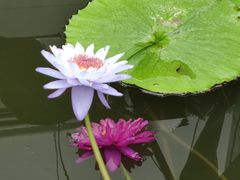 -国家植物园南园