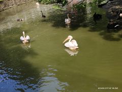 -黔灵山公园