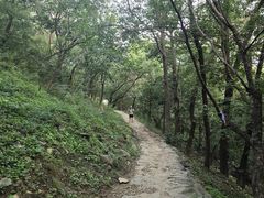 -北京鹫峰国家森林公园