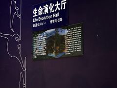 -中国西峡恐龙遗迹园