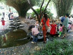 -成都市活水公园