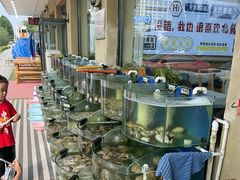 -京秀缘蒸汽海鲜农家菜大馅蒸饺