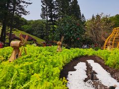 -深圳仙湖植物园