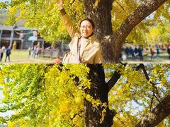 -千年银杏谷文化旅游区
