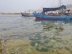 -养马岛旅游度假区