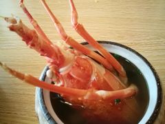 -北海银滩·鉳海(星湖店)
