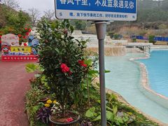 -十万大山布透温泉