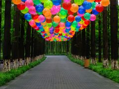 -黄海国家森林公园