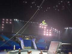 -珠海横琴长隆《卡卡虎奇遇记》