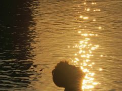 -马口生态公园