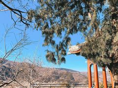 -香山公园