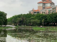 -映月湖公园
