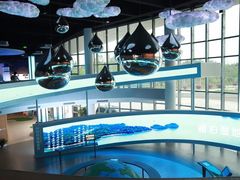 -漩门湾国家湿地公园