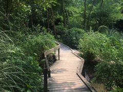 -新江湾城公园