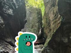 -牛背梁国家森林公园