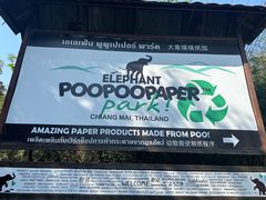 -大象粑粑造纸公园