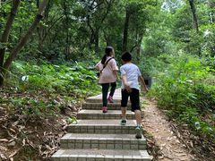-云溪植物园