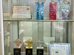 -青奢宠物·青奢猫舍