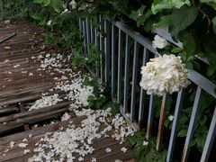 -谷咖啡·鲜花绿植花园餐厅