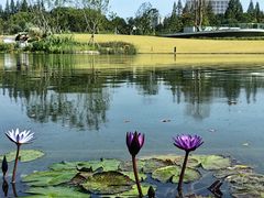 -上海植物园-4号门售票处