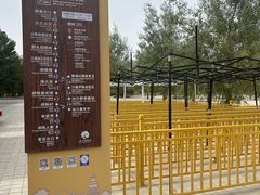 -金塔沙漠胡杨林景区