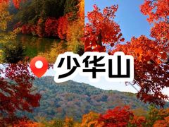 -少华山国家森林公园