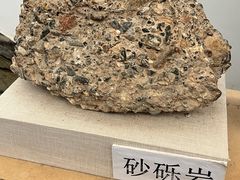 -敦煌石窟文物保护研究陈列中心