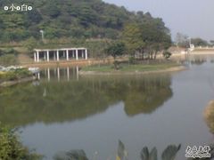 -广州市帽峰山景区