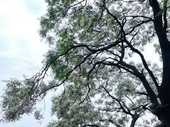 -东湖生态旅游风景区