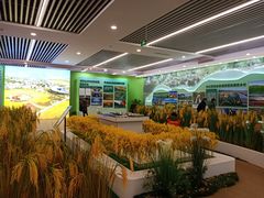 -南京市规划建设展览馆
