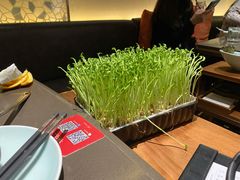 -捞王锅物料理(上海世茂广场店)