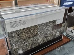 -小罐茶(济南恒隆广场店)
