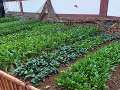 -敬亭山风景名胜区