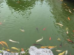 -梅园