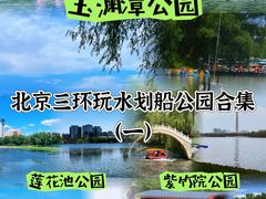 -莲花池公园