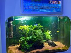 -嘉兴海底世界