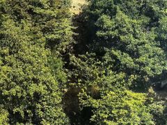 -东天目山风景区