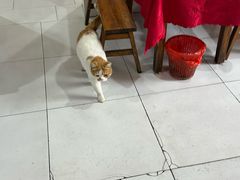 -米二红烧兔(华阳店)