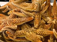 -嘉年华大酒店琴湾-自助餐厅