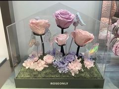 -ROSEONLY诺誓(广州K11店)