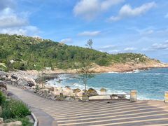 -广东惠东海龟国家级自然保护区