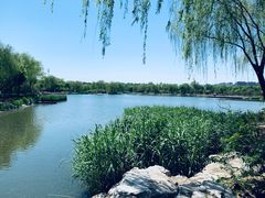 景点-燕郊植物园