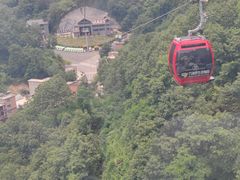 -栾川竹海野生动物园